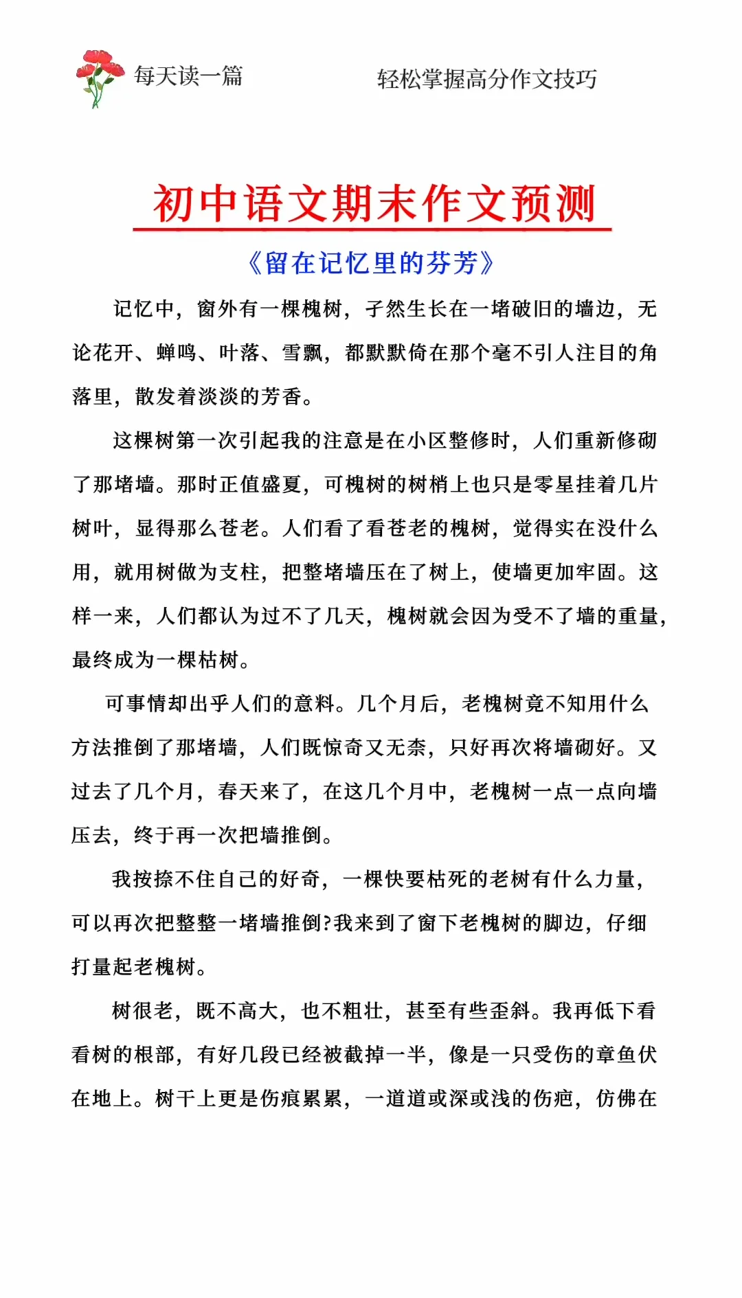 留在记忆里的芬芳作文600字